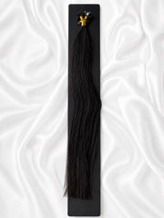 Anthracite Ghost